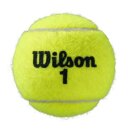 Wilson Roland Garros Clay Tennisball Karton 72 Tennisb&auml;lle 24x3er Dosen