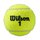 WILSON ROLAND GARROS CLAY TBALL KARTON (pakiranje 24x3 kom.)