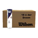WILSON ROLAND GARROS ALL COURT TBALL BOX (18x4 ball can)