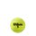 Wilson Roland Garros All Court Tennisball Karton 72 Tennisb&auml;lle 18x4er Dosen