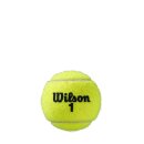WILSON ROLAND GARROS ALL COURT TBALL (4er Dose)