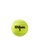 WILSON ROLAND GARROS ALL COURT TBALL KARTON (pakiranje 24x3 kom.)