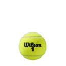 Wilson Roland Garros All Court 4 Ball 2 Pack