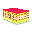 WILSON CHAMPIONSHIP EXTRA DUTY BOX (24x3 ball can)