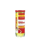 WILSON CHAMPIONSHIP EXTRA DUTY BOX (24x3 ball can)